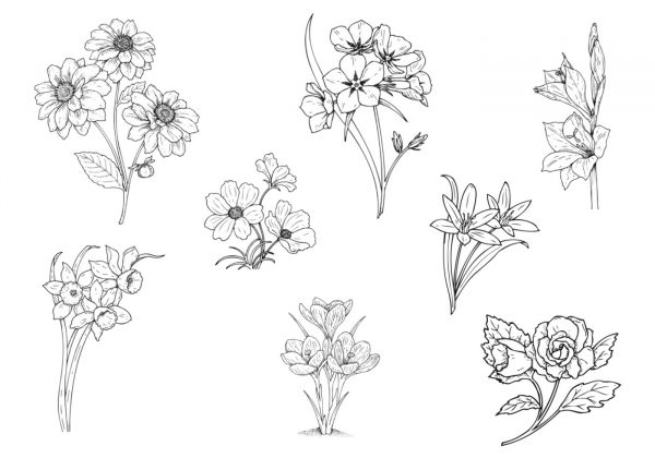 Draw flowers - Image 2